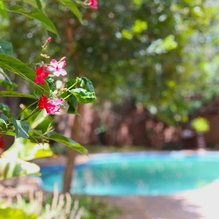 Mawuya Lodge Καταρράκτες Βικτωρίας Εξωτερικό φωτογραφία