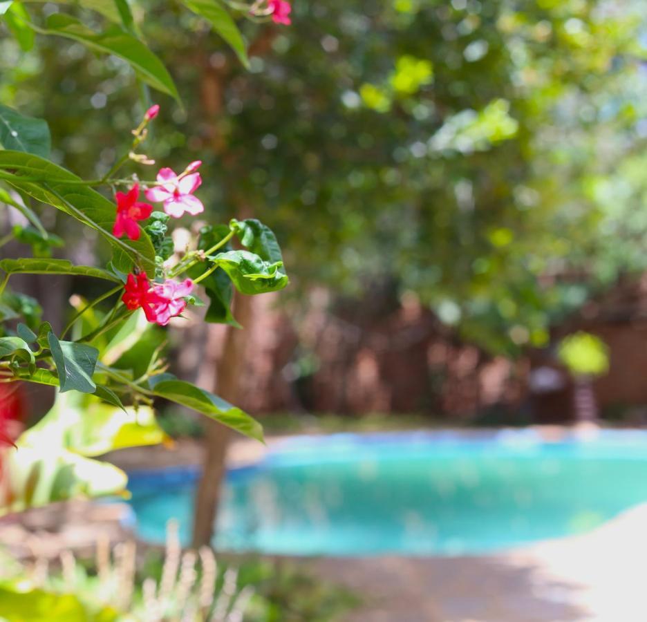 Mawuya Lodge Καταρράκτες Βικτωρίας Εξωτερικό φωτογραφία